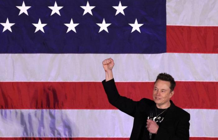 Musk ofrece 1 millón de dólares a posibles votantes de Trump