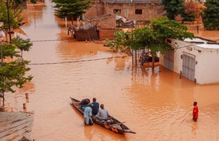 Desbordamiento del río Senegal: 55.600 víctimas y 1.002 hectáreas de cultivos inundadas en Senegal, silencio de radio en el lado de Mauritania