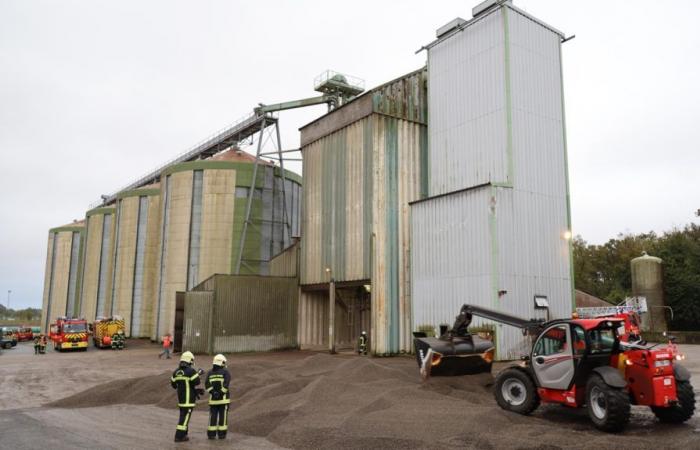 Calentamiento de girasoles en el silo de Roches-Prémarie-Andillé: 23 bomberos implicados