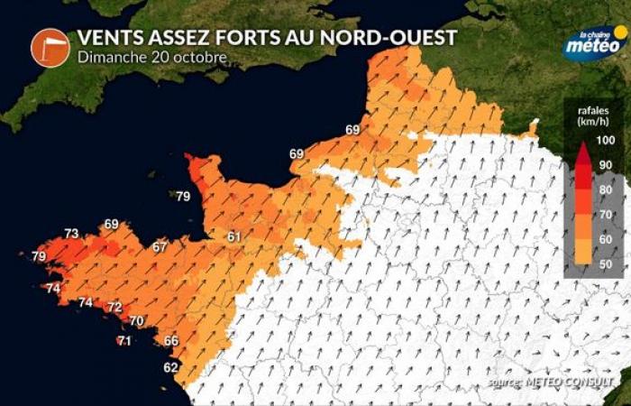 Clima domingo 20 de octubre: clima primaveral en ¾ del país, excepto en el noroeste