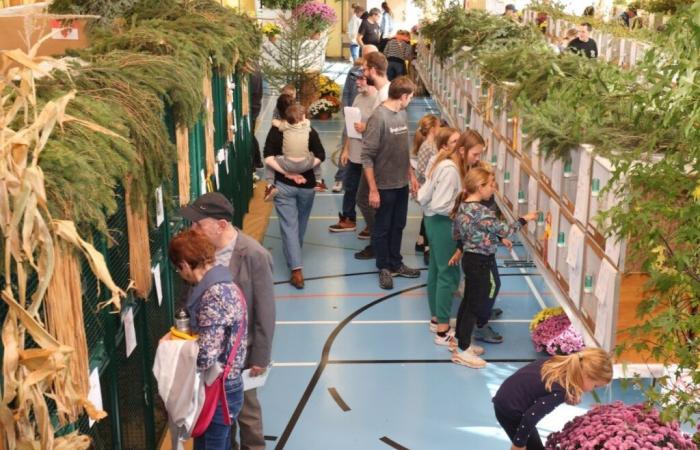 Un verdadero éxito de público para la exposición que conmemora el 50° aniversario de La Bergeronnette en Courgenay