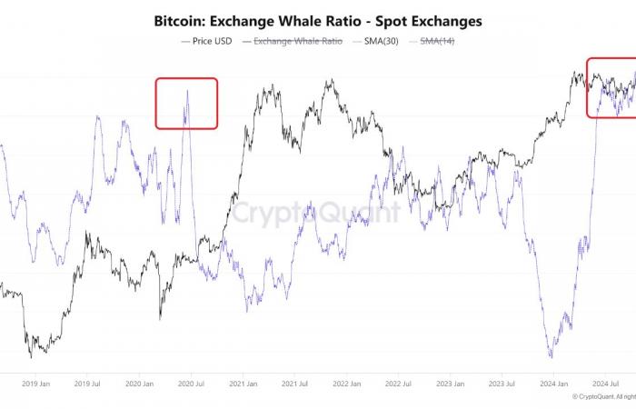 3 señales de que la ‘fase parabólica’ de Bitcoin con un objetivo de 250.000 dólares está a punto de comenzar