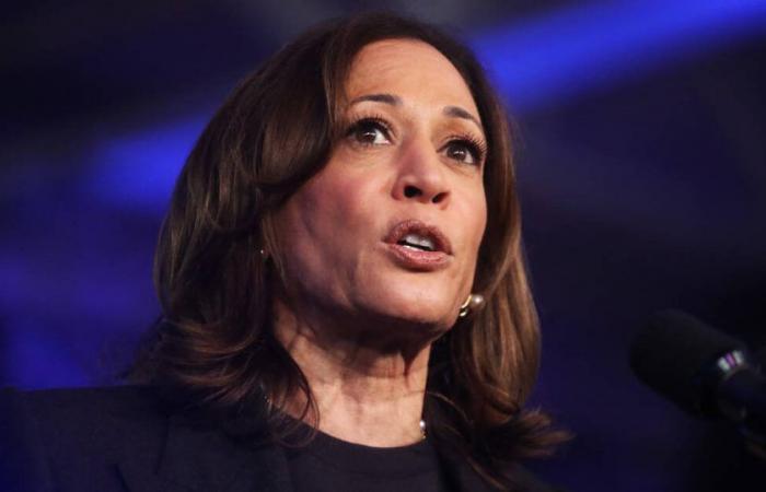 ¿Qué sabemos sobre el empleo de Kamala Harris en McDonald’s, impugnado por Donald Trump? – Liberación