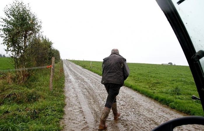 Lactalis exige a los criadores ecológicos que vuelvan a los convencionales