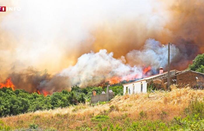 Casas destruidas con demasiada frecuencia por los incendios: este lunes se lanzó una campaña sobre la obligación de limpiar los arbustos