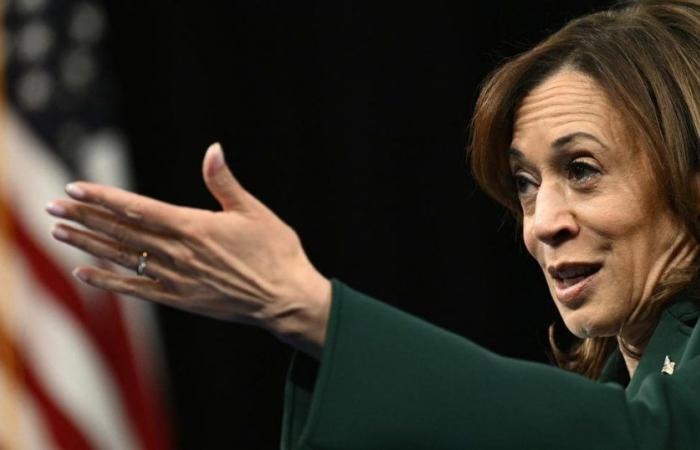 En Dearborn, la comunidad árabe amenaza con “castigar” a Kamala Harris