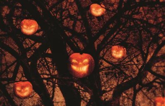 5 libros para Halloween, te encantará temblar – Paris Select