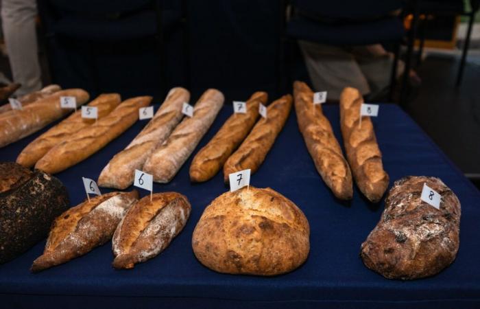 Ellē gana el primer premio Washington Best Baguette 2024