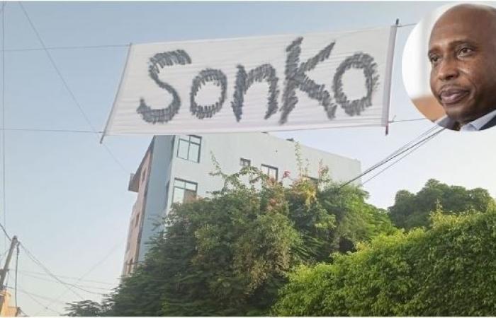 pancartas con el nombre de Sonko cerca de la casa de Barth, en Baobab… (fotos-vídeo)