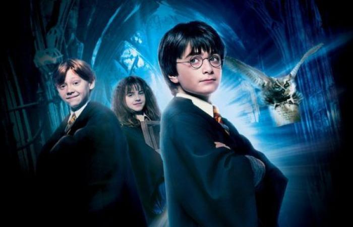 La serie de Harry Potter de Warner llegará más lejos que las películas (y mucho mejor)