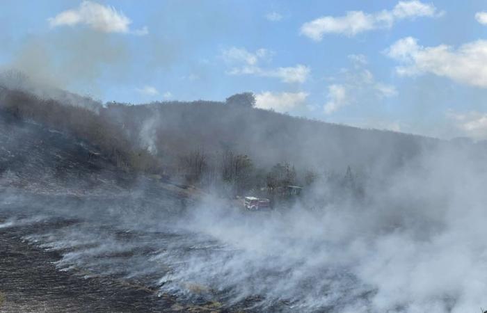 EN FOTOS. Frente al violento incendio que asola Boulouparis