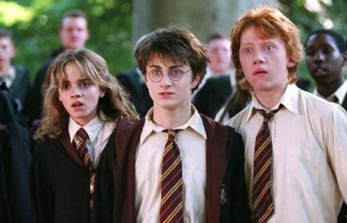 La serie de Harry Potter de Warner llegará más lejos que las películas (y mucho mejor)