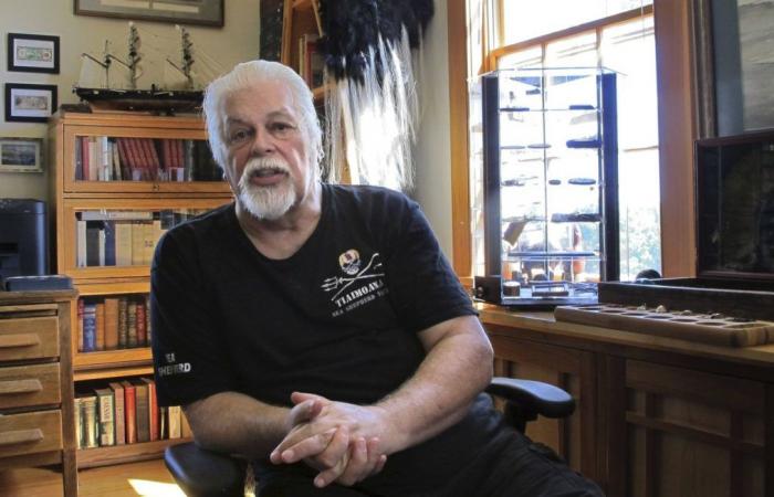 Presentado como un “héroe”, ¿es en realidad Paul Watson, defensor de las ballenas, racista y clasista?