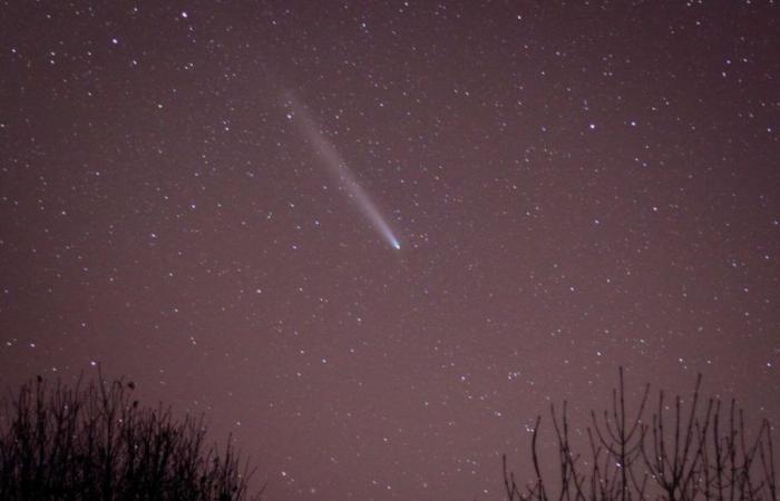 Tras la magnífica aurora boreal, el “cometa del siglo” se deja ver en el cielo de Cotentin