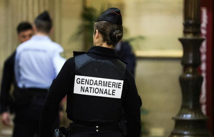 Francia: un adolescente de 14 años asesinado, su padrastro y su madre arrestados