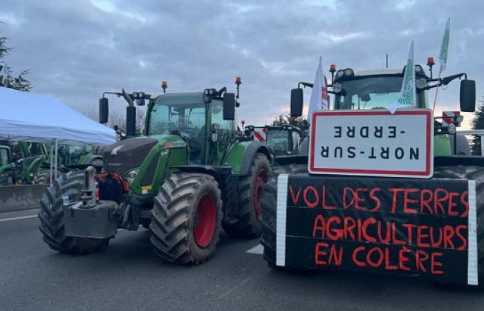 “Los bloqueos para los agricultores serán más duros” advierte el presidente de los Jóvenes Agricultores de Charente-Maritime