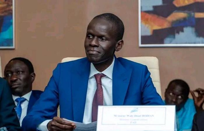 Nombramientos de Samba Ndiaye para Sn-Hlm: Waly Diouf Bodiang y Abass Fall quieren desalojar al nuevo Pca – Lequotidien