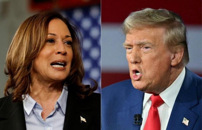 Encuestas, insultos… Brutal fin de campaña entre Kamala Harris y Donald Trump