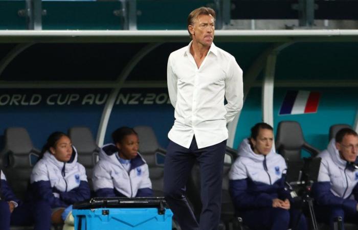 Después de Les Bleues, Hervé Renard vuelve al frente de la selección de Arabia Saudita