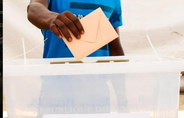 Senegal: Paridad, diáspora y voto mixto en el centro de las elecciones legislativas | APAnoticias