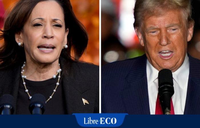 Harris contra Trump: ¿qué pasa con su programa económico?