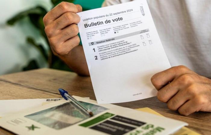 Discapacidad mental: Suiza debería conceder pronto el derecho de voto