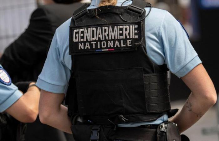 Un niño de 5 años gravemente herido en un tiroteo en Francia