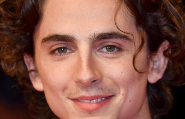 La aparición sorpresa de Timothée Chalamet en Nueva York provocó gritos de los fanáticos, lo que pasó es improbable