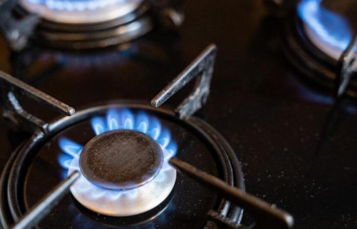 Las cocinas de gas están relacionadas con 40.000 muertes prematuras al año en Europa