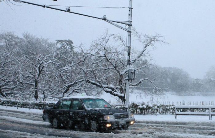 ¿Ola de frío, 30 cm de nieve, violento embate del invierno para el primer fin de semana de noviembre en Alemania?