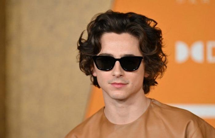 VIDEO. Cuando Timothée Chalamet participa en un concurso de dobles… de Timothée Chalamet