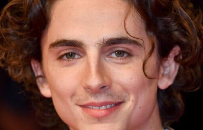 La aparición sorpresa de Timothée Chalamet en Nueva York provocó gritos de los fanáticos, lo que pasó es improbable