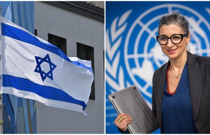 Israel denuncia “el odio” de un experto de la ONU que lo acusa de “genocidio”