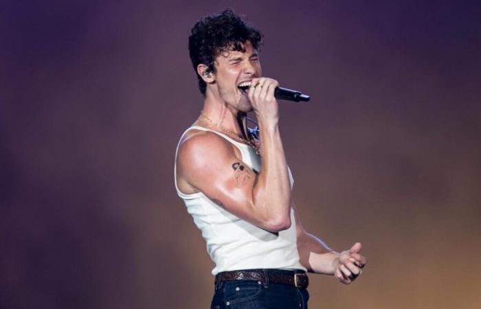 Shawn Mendes habla de su sexualidad durante concierto en Colorado