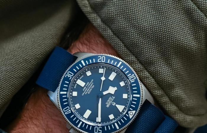 Tudor Pelagos FXD GMT Hora Zulú x Marine Nationale