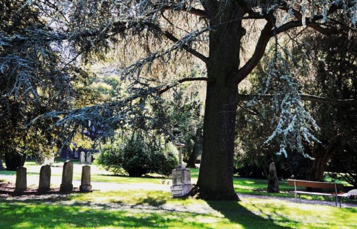 Ginebra: el cementerio de los Reyes, un museo al aire libre