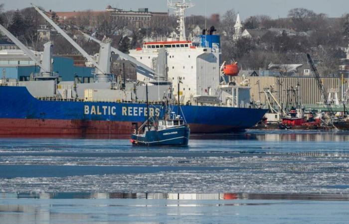 Neveras flotantes gigantes para facilitar el saqueo de los océanos