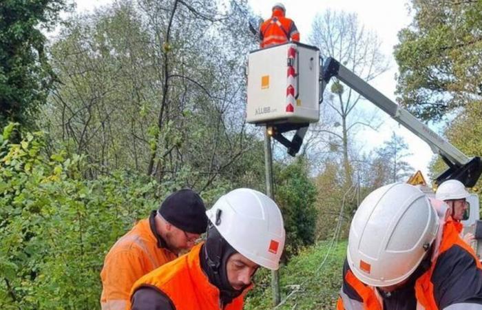 Un año después, Orange sigue movilizándose en su red.