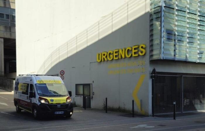 En Nantes, un joven de 14 años linchado durante un partido de fútbol salvaje