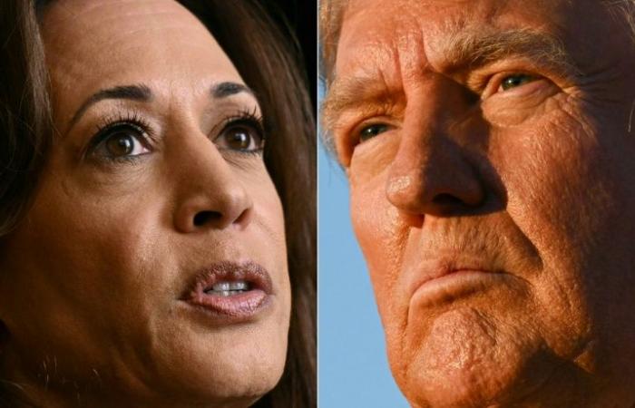 Harris y Trump compiten por la batalla en estados clave a menos de una semana del Día D