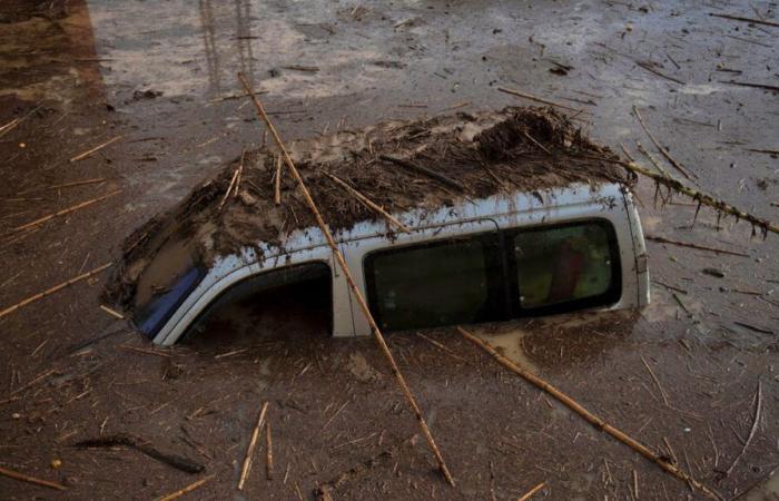 Lluvias torrenciales matan al menos a 50 personas