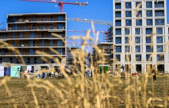 Ecodistrito: Lausana: nueva escuela con 33 clases en el parque Vélodrome