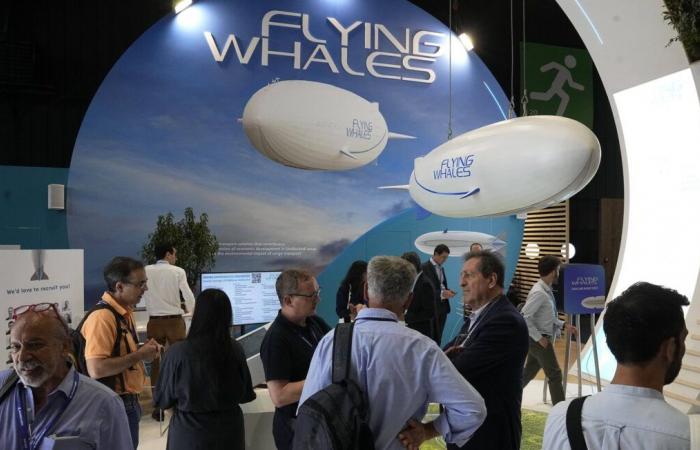 Fábrica de Flying Whales invadiría “un importante corredor ecológico” para la autoridad ambiental