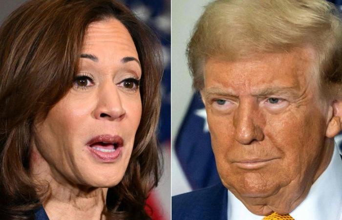 Encuesta presidencial estadounidense de 2024: Kamala Harris ocupa el primer lugar según esta última encuesta, seguida muy de cerca por Donald Trump