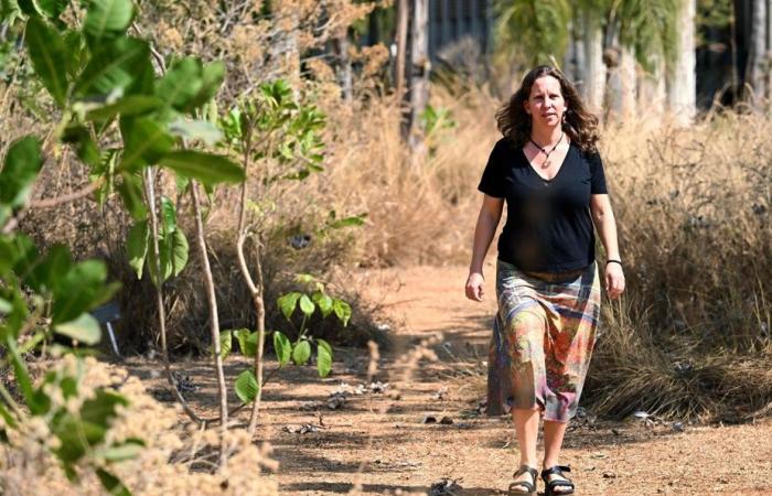 La sabana brasileña, resistente a los incendios