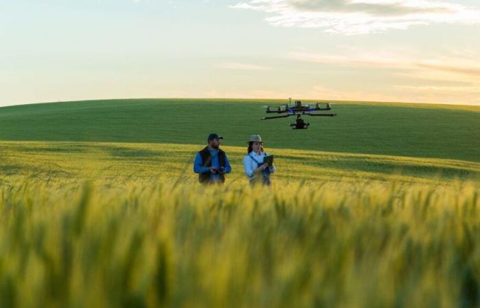 Crisis agrícola: ¿el futuro está en la pradera?