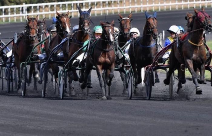 Predicciones de carreras de caballos para el jueves 31 de octubre de 2024