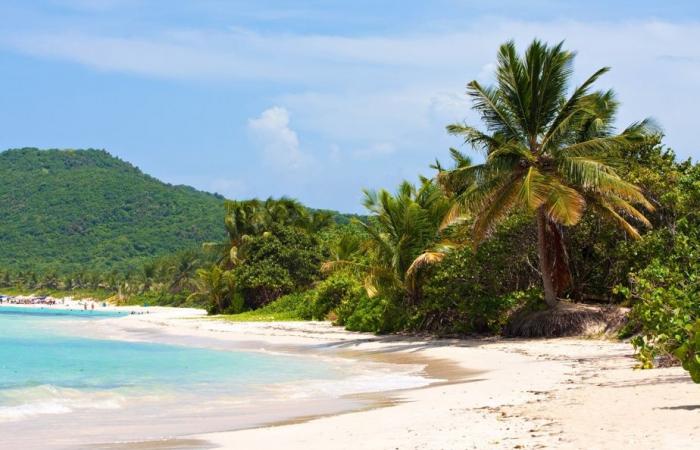 Puerto Rico, tratado como una “isla flotante de basura”, lanza una reserva marina