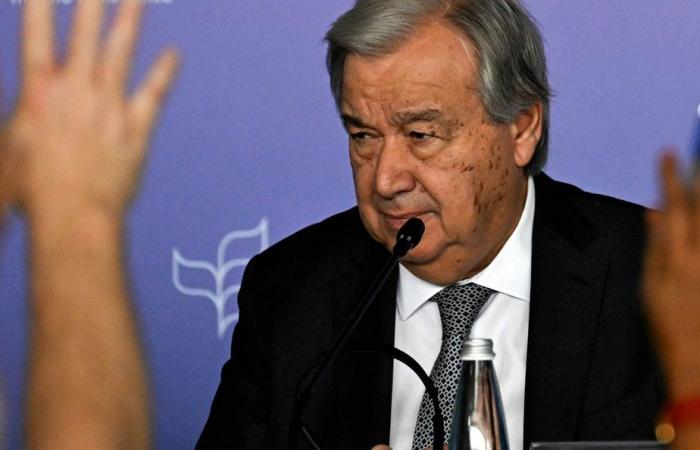 COP16 | “Hacer la paz entre nosotros” es crucial para salvar la naturaleza, dice el jefe de la ONU