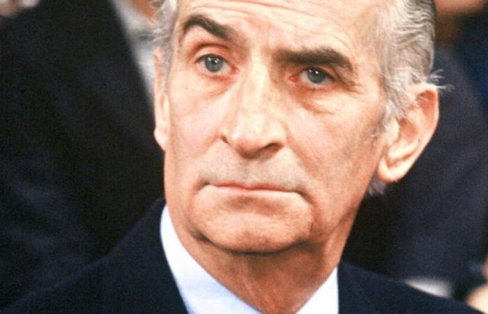 Louis de Funès: La hija del icono está lejos de ser unánime, explicamos por qué